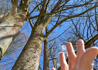 Eine Hand streckt sich aus in den Himmel