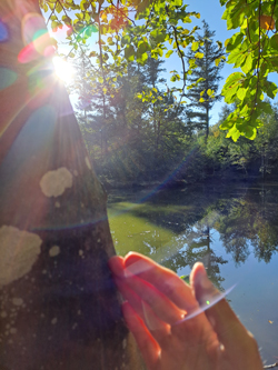 Eine Hand am Baum mit Blick auf den See